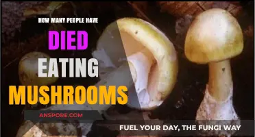 Deadly Harvest: Mushroom Poisoning Fatalities and Their Global Impact