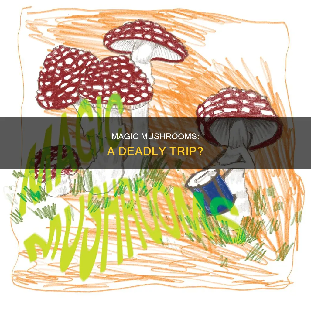 how many people have died from amgic mushrooms