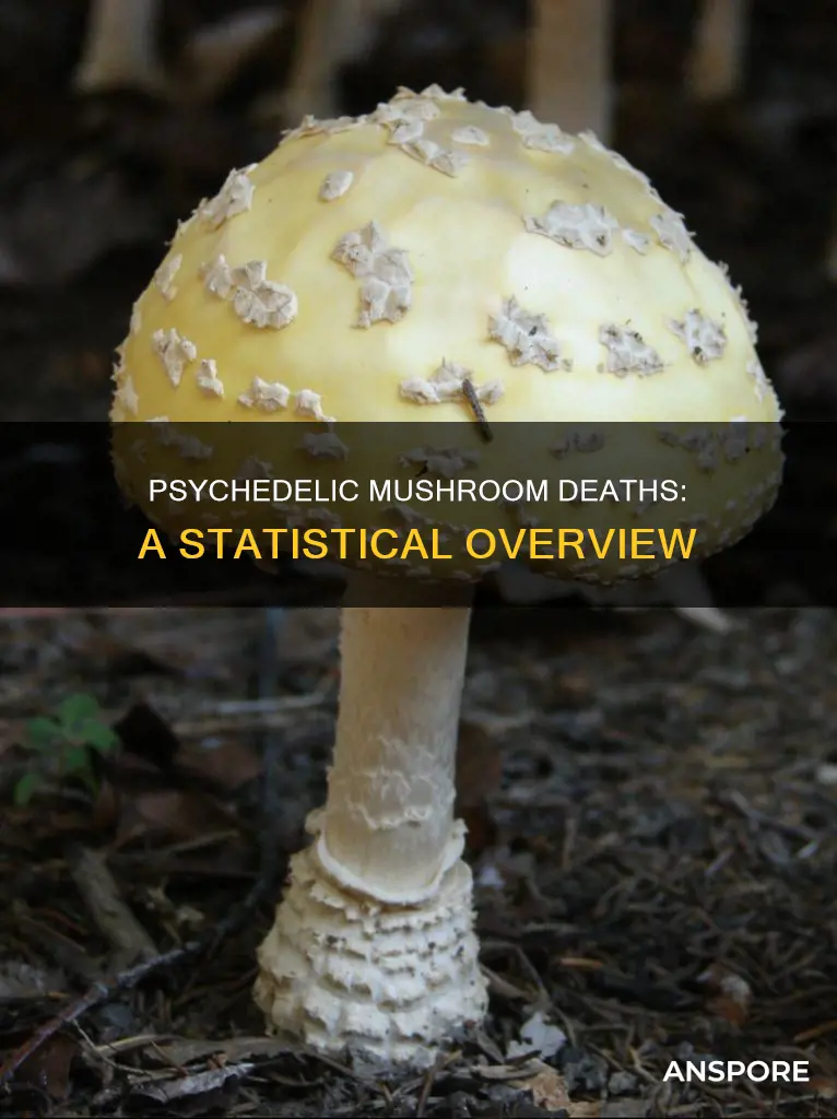 how many people have died from psychedelic mushrooms