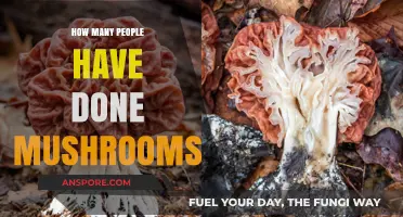 Mushroom Trips: Millions Have Taken a Magical Journey