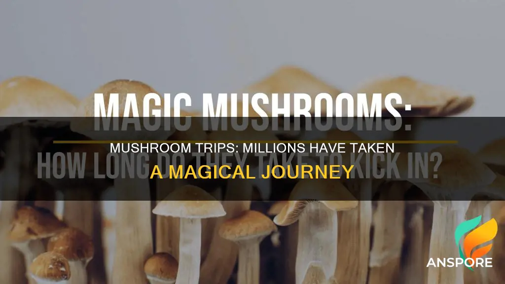 how many people have done mushrooms