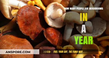 Annual Mushroom Consumption: How Many People Use Mushrooms Each Year?