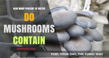 Mushrooms: Water Content and Its Benefits