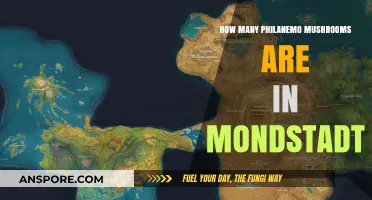 Philanemo Mushrooms: Mondstadt's Bountiful Delicacy