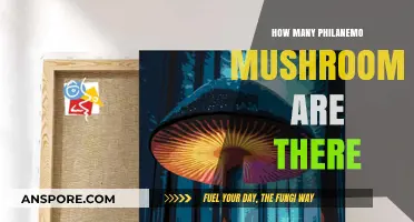 Exploring the Abundance of Philanemo Mushrooms