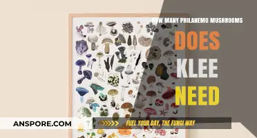 Klee's Power: Philanemo Mushroom Count