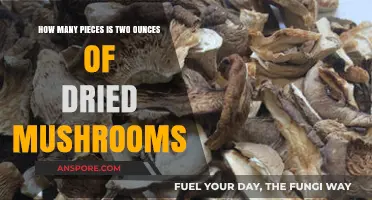 Dried Mushroom Measurements: How Many Pieces Per Ounce?