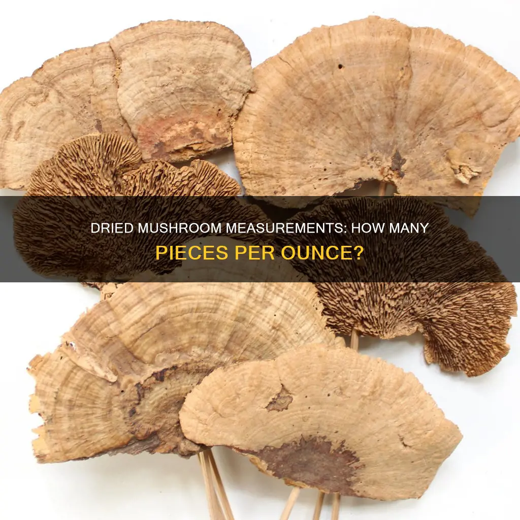 how many pieces is two ounces of dried mushrooms