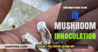 Optimal Plug Count for Successful Mushroom Inoculation Techniques Explained