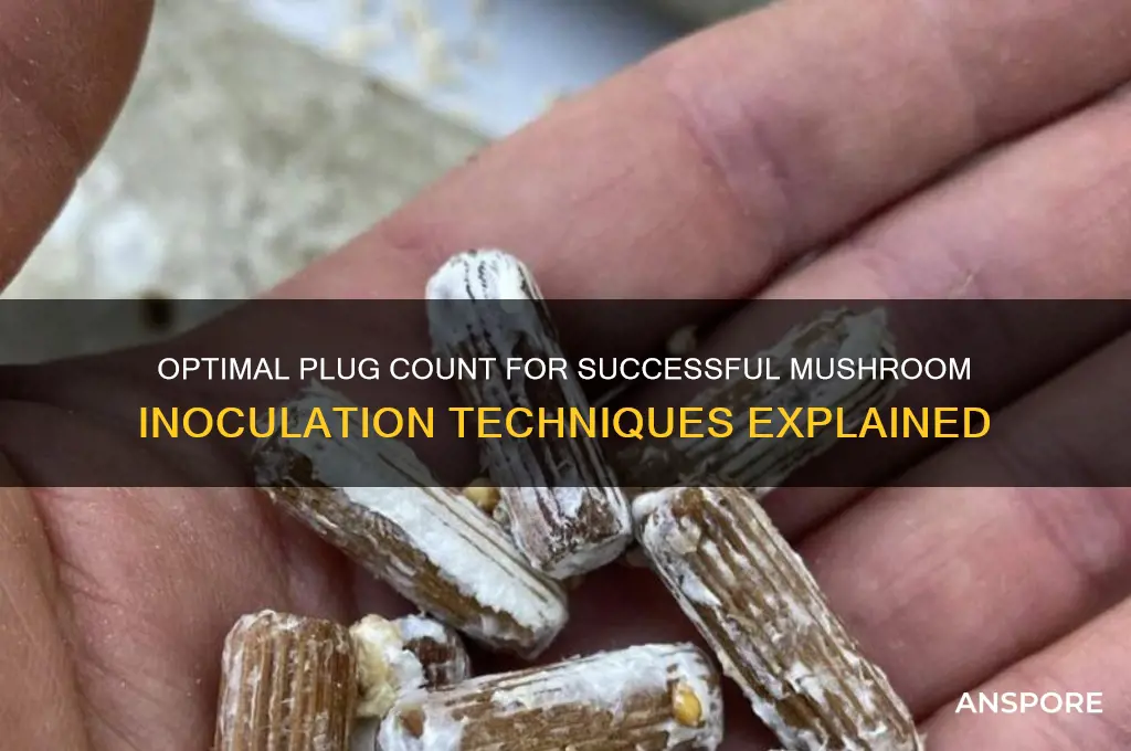 how many plugs to use in mushroom innoculation