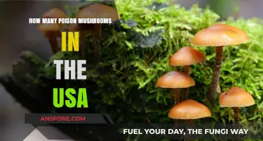 Exploring the Number of Poisonous Mushrooms Found in the USA