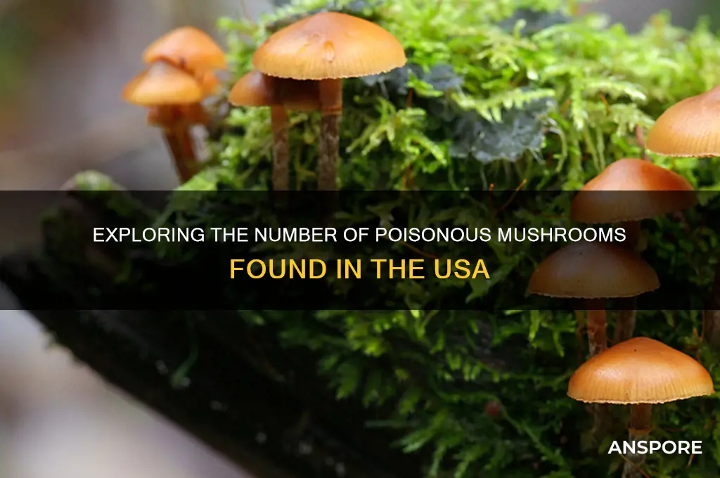 how many poison mushrooms in the usa