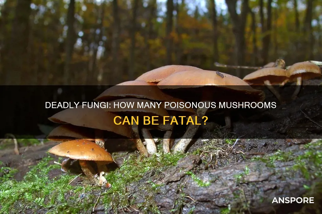 how many poisonous mushrooms can kill you