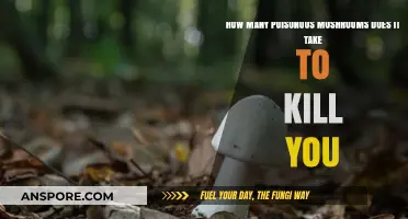 Deadly Dose: How Many Poisonous Mushrooms Can Be Fatal?