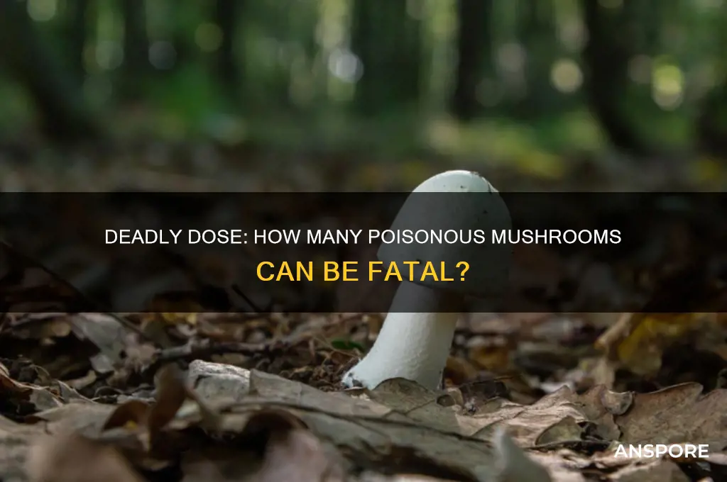 how many poisonous mushrooms does it take to kill you