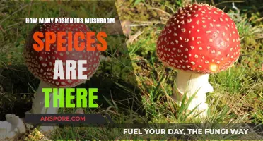 Poisonous Mushrooms: How Many Species Exist?