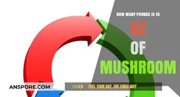 Mushroom Weight Conversion: Understanding Ounces and Pounds