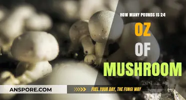 Converting Mushroom Weight: Oz to Pounds