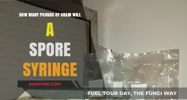 Maximizing Grain Yield: Spore Syringe Cultivation Techniques Explained