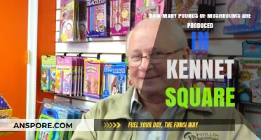 Mushroom Capital: Kennett Square's Annual Produce