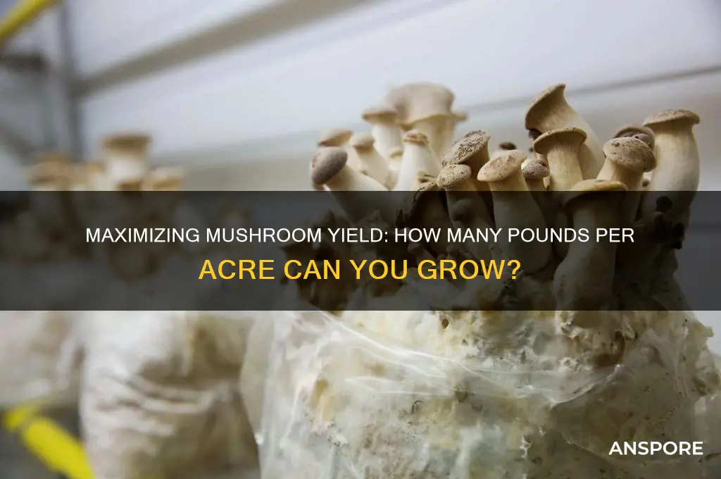 how many pounds of mushrooms can you grow per acre