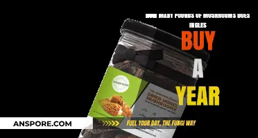 Ingles' Annual Mushroom Purchases: Unveiling the Pounds of Fungi Bought