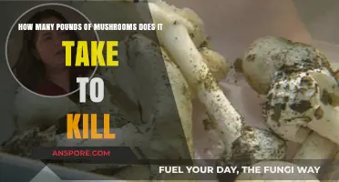 Mushroom Poisoning: How Many Pounds Are Fatal?