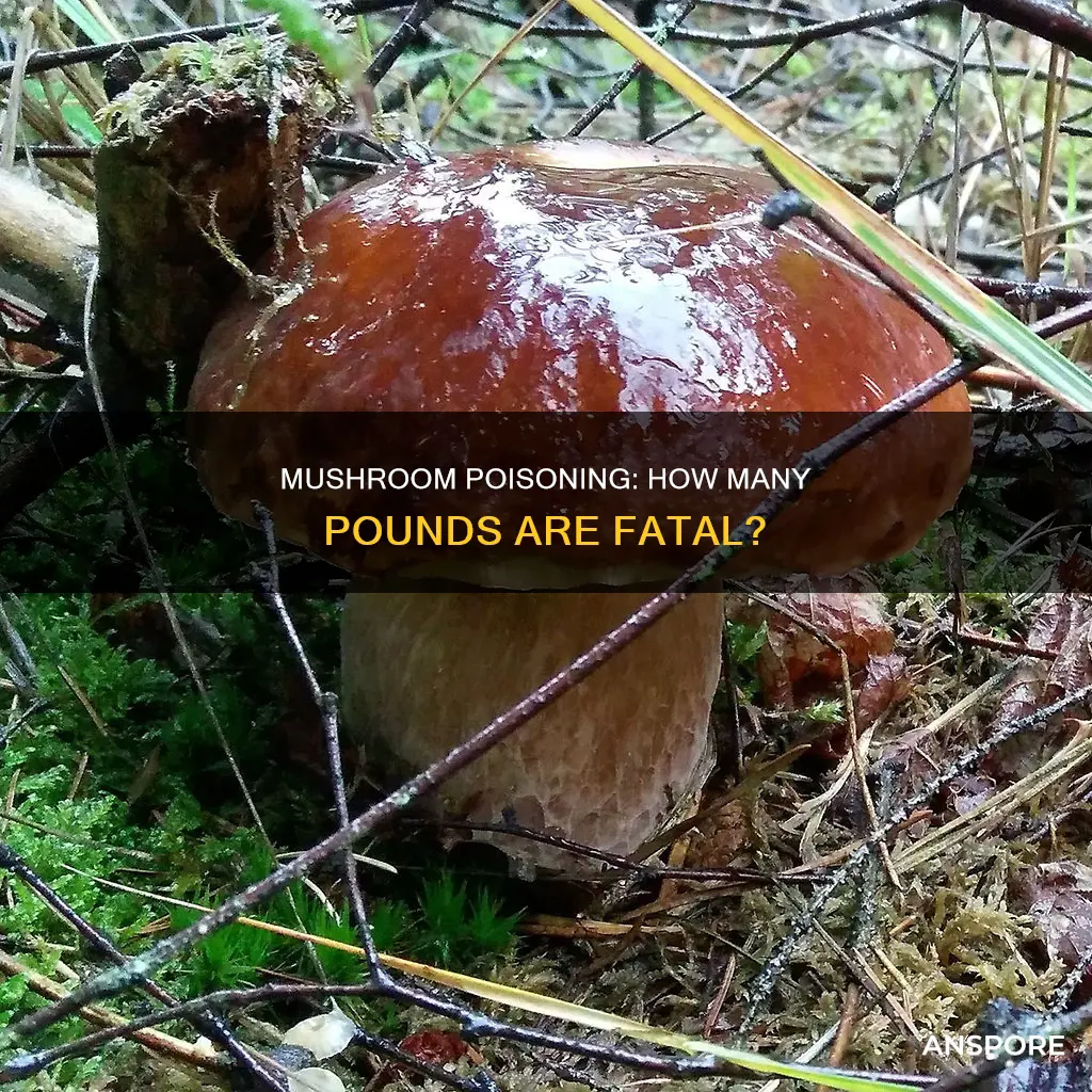 how many pounds of mushrooms does it take to kill