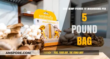 Mushroom Bags: How Many Pounds to Expect?