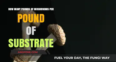 Mushroom Cultivation: Pounds of Substrate Needed