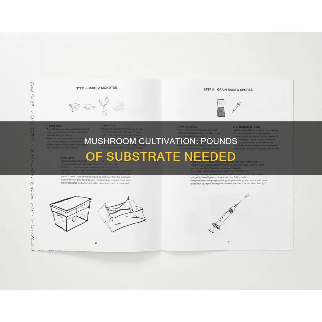how many pounds of mushrooms per pound of substrate