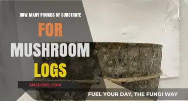Substrate Weight for Mushroom Logs: How Much is Enough?