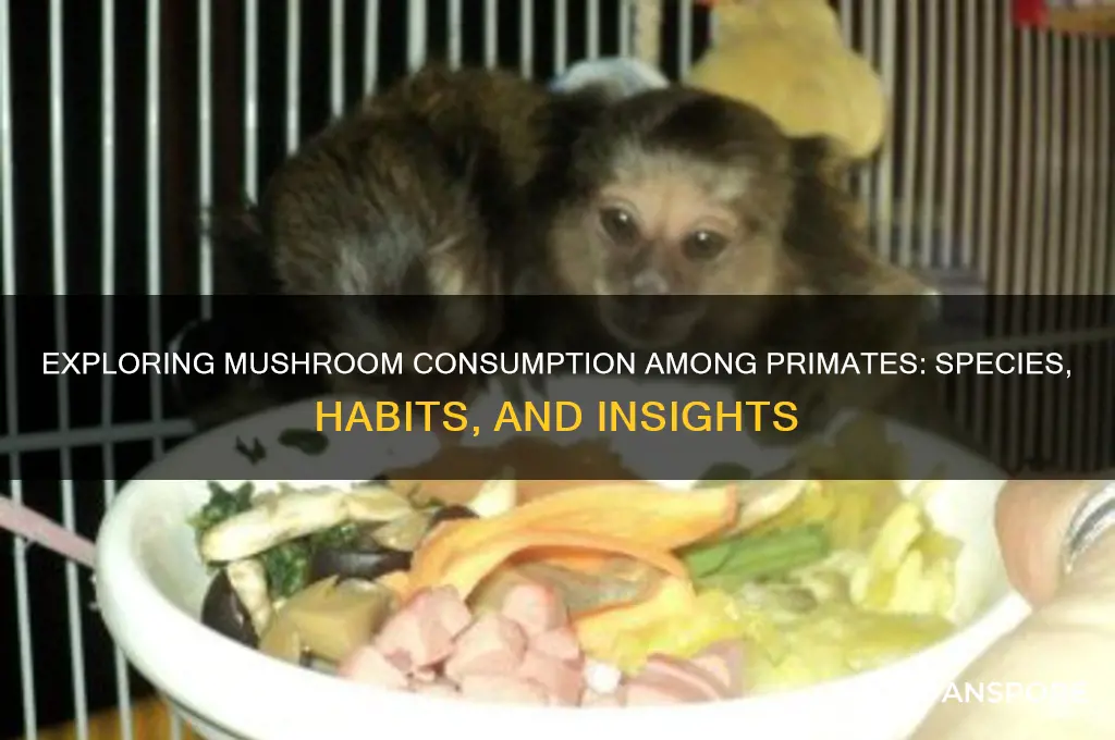 how many primates eat mushroom