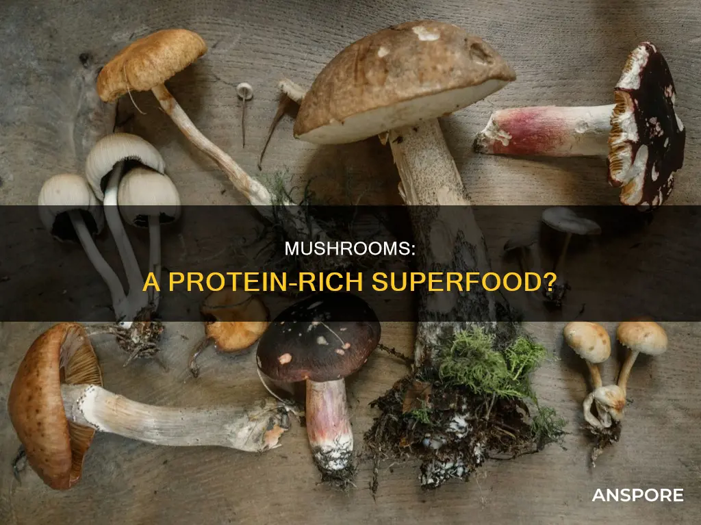 how many protein in 100 gm mushrooms