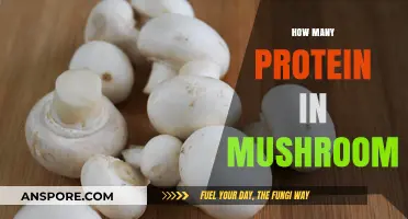 Mushrooms: A Surprising Source of Protein