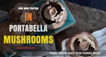 Portabella Mushrooms: A Rich Protein Source