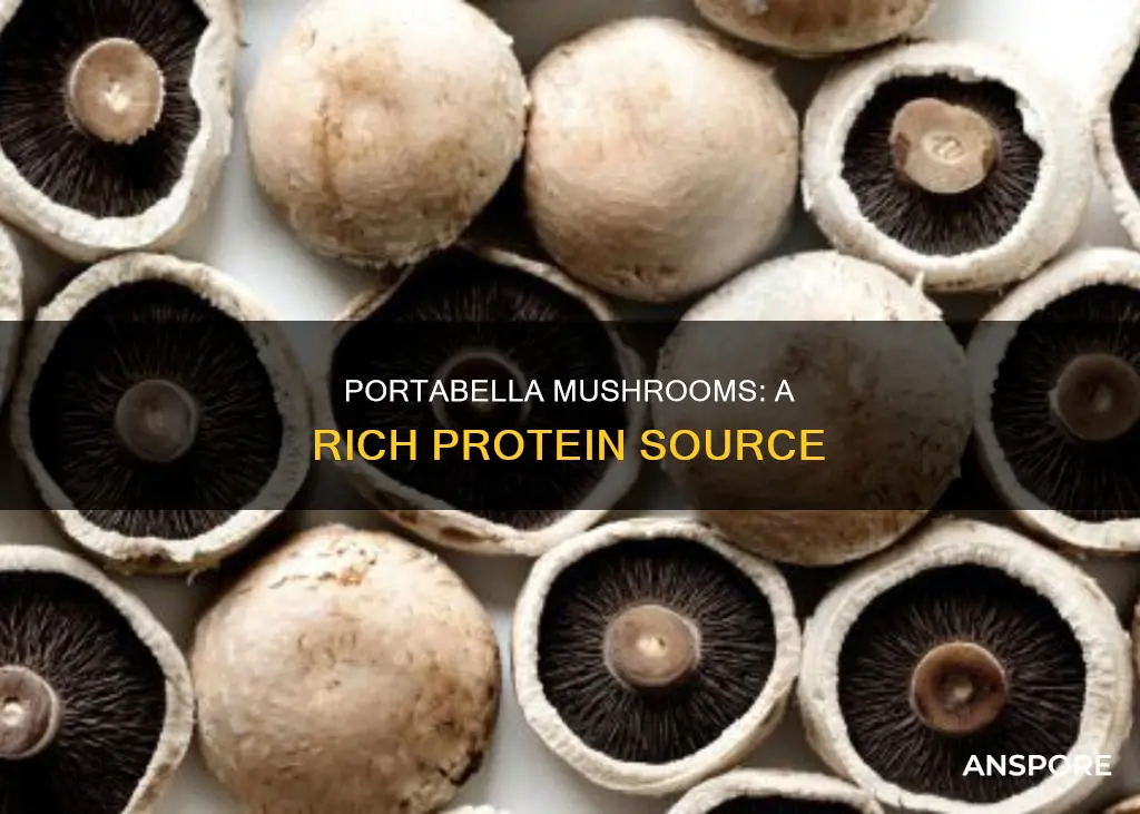 how many protein in portabella mushrooms