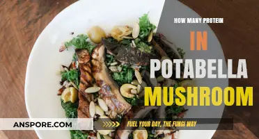 Protein-rich Portabella Mushrooms: How Much Protein?