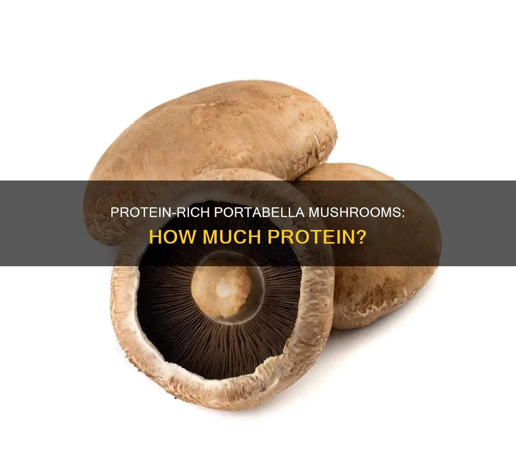 how many protein in potabella mushrooms