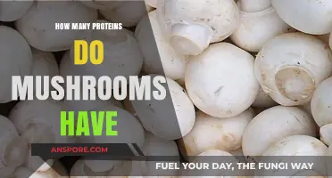 Mushrooms: A Rich Source of Proteins