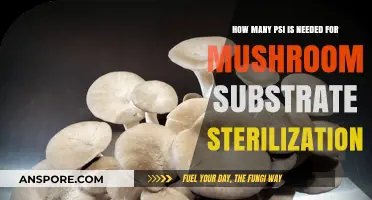 Sterilizing Mushroom Substrate: How Much PSI is Needed?