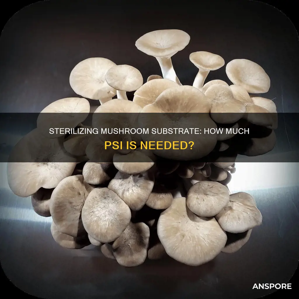 how many psi is needed for mushroom substrate sterilization
