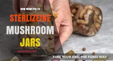 Sterilizing Mushroom Jars: Understanding PSI Levels