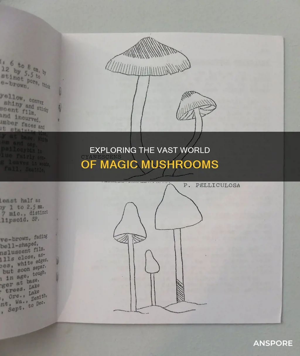 how many psilocybin mushrooms exist in the world