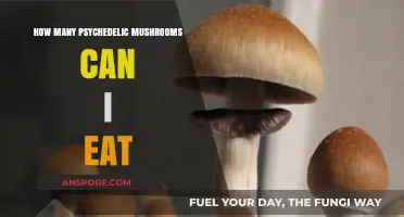 Safe Psychedelic Mushroom Dosage: How Many Can You Eat?