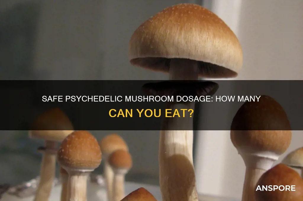 how many psychedelic mushrooms can i eat