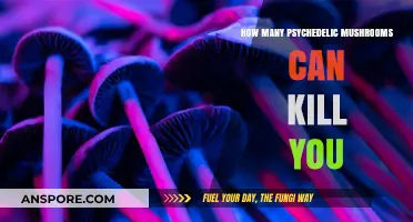 Deadly Dose: Can Psychedelic Mushrooms Lead to Fatal Overdose?