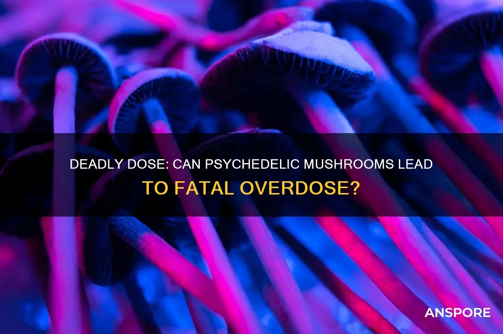 how many psychedelic mushrooms can kill you