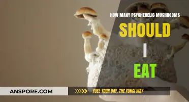 Safe Psychedelic Mushroom Dosage: A Beginner's Guide to Tripping Responsibly