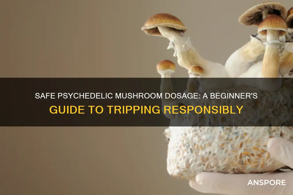 how many psychedelic mushrooms should i eat